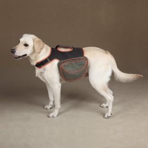 hiking backpack for dog