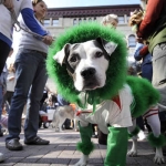Dogs To Celebrate Halloween With Their Own Doggie Day