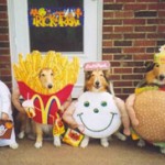 Pets in Costume 1