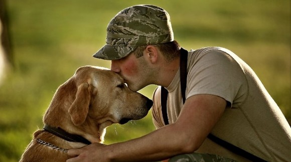 Military Dogs Suffering Combat Stress Too