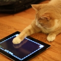 Cat Playing app on iPad