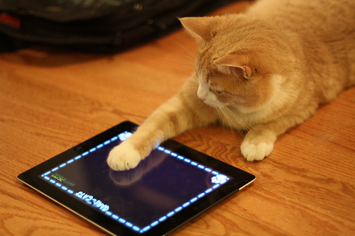 Cat Playing app on iPad