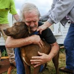 Dog Survives Alabama Tornado