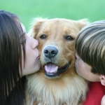 Dogs Get Their Own Holiday