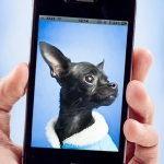 Great Apps for Pet Owners