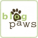pet blogging