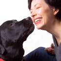 dogs and diseases