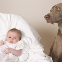 keeping your baby safe around dogs