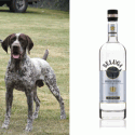 vodka and dogs