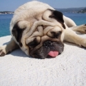 heat stroke