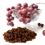 Six Toxic Foods For Dogs toxic foods for dogs