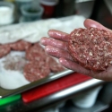 lion meat