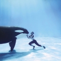 blackfish documentary