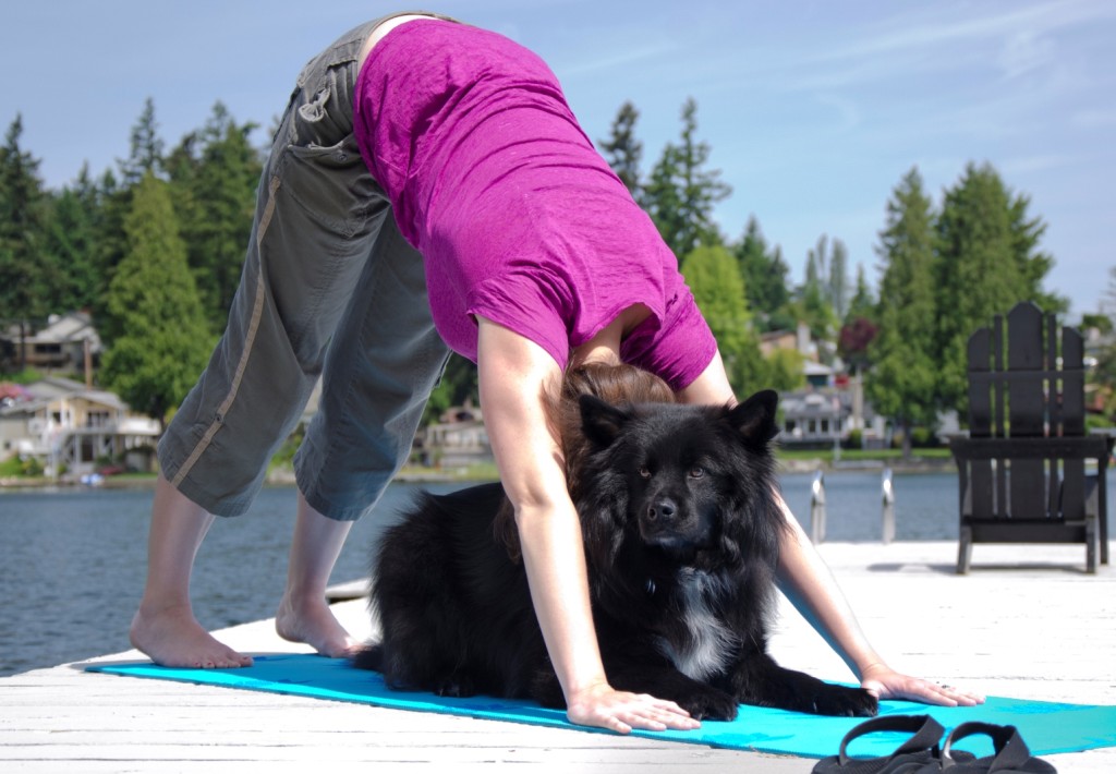 Yoga With Your Dog - Flip Your Dog with a New Twist - All Pet News