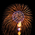 10 Tips to Keep Your Dog Calm Around Fireworks fireworks